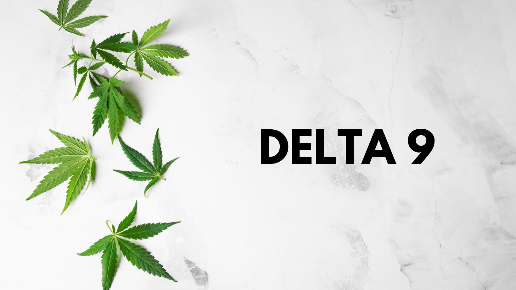 What is Delta 9