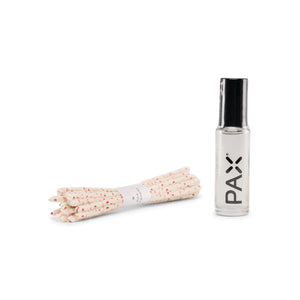 Pax 2 cleaning kit