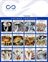 Coast 2 Coast Mycology - Liquid Culture